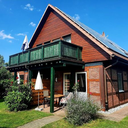 Ferienhaus Sasse Ferienwohnungen Mit Garten & Grill Molschow Exteriör bild